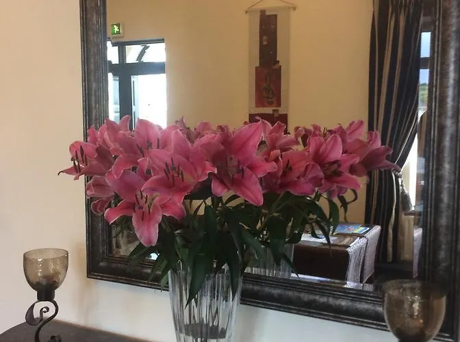 Panzió Heron's Cove Ballyshannon